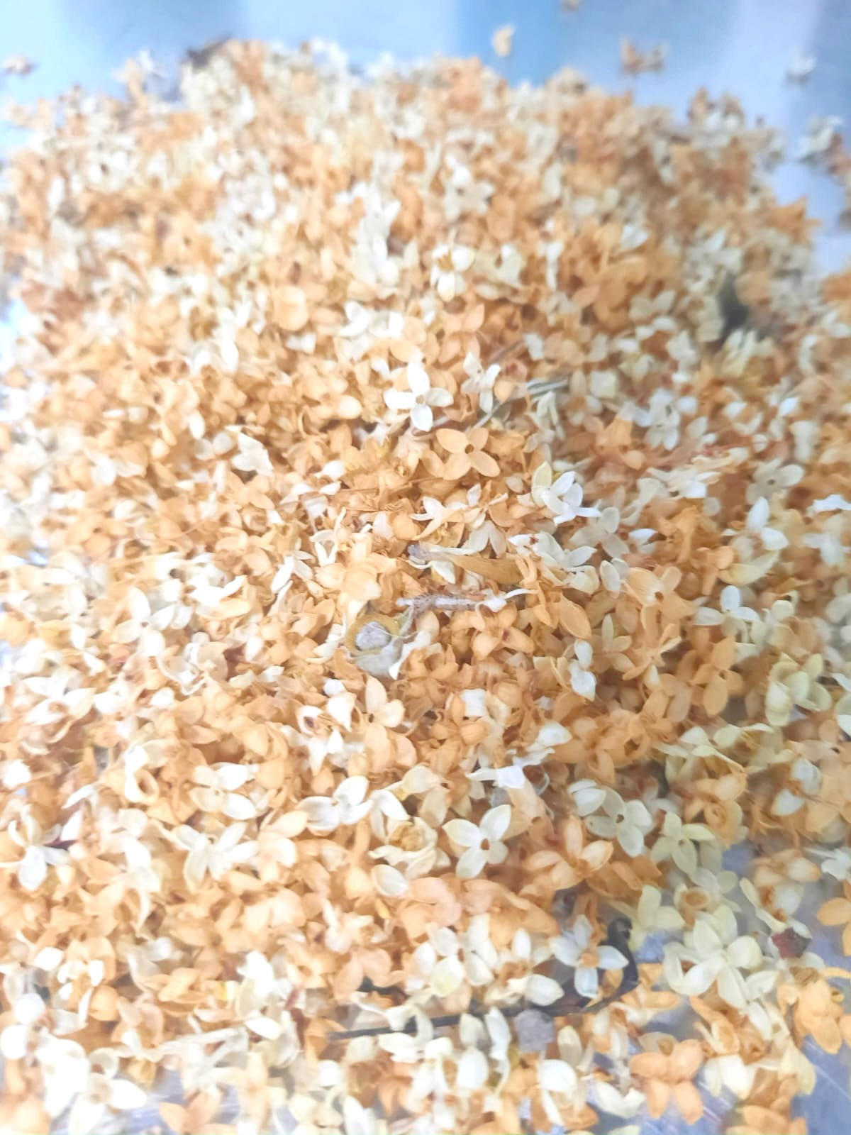 Bloom - Bière Blanche - 3